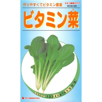 【タネ】ビタミン菜 カネコ種苗
