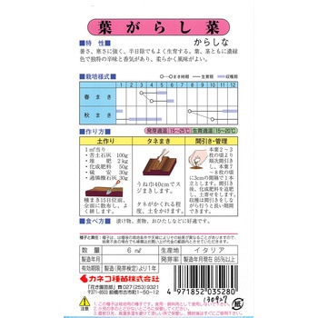 【タネ】葉がらし菜 カネコ種苗