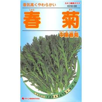【タネ】春菊 中葉新菊 カネコ種苗