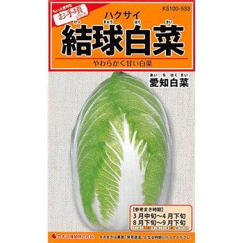 533 【タネ】結球白菜 愛知白菜 1セット(5袋) カネコ種苗 【通販