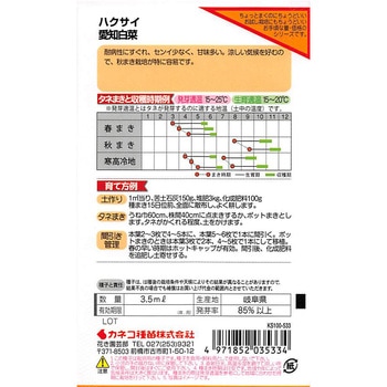 【タネ】結球白菜 愛知白菜 カネコ種苗