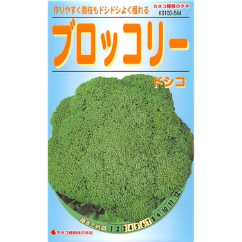【タネ】ブロッコリー ドシコ カネコ種苗