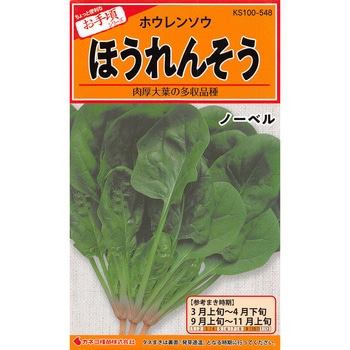 【タネ】ほうれんそう ノーベル カネコ種苗