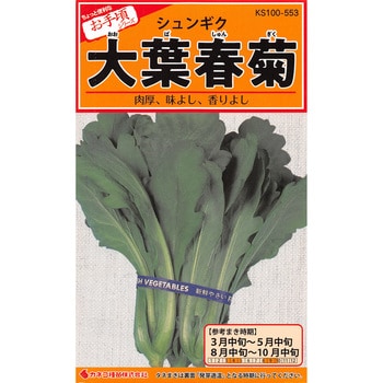 553 タネ 大葉春菊 1セット 5袋 カネコ種苗 通販モノタロウ