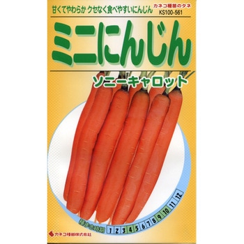 【タネ】ミニにんじん ソニーキャロット カネコ種苗