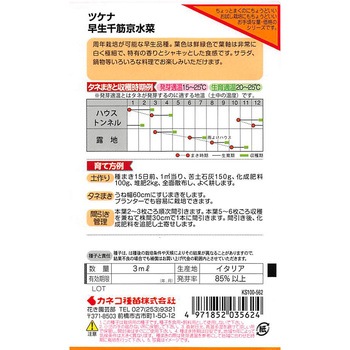 【タネ】サラダみずな 早生千筋京水菜 カネコ種苗