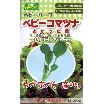 【タネ】ベビーリーフ_ベビーコマツナ よかった菜 カネコ種苗