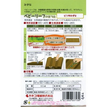 【タネ】ベビーリーフ_ピリ辛みずな カネコ種苗
