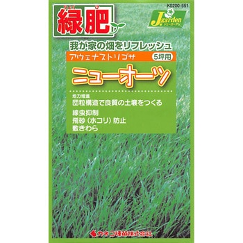 551 【タネ】緑肥 アウェナストリゴサ ニューオーツ 1セット(5袋