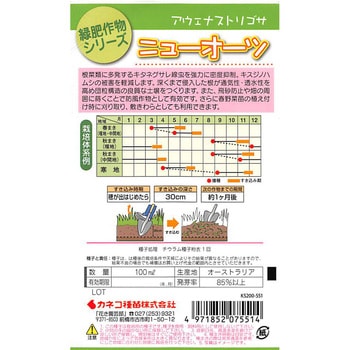 【タネ】緑肥 アウェナストリゴサ ニューオーツ カネコ種苗