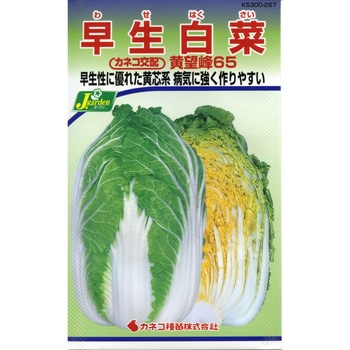 【タネ】早生白菜 黄望峰65 カネコ種苗