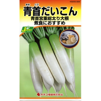 超美品 青首大根 重量：7〜8Kg メルカリ - 大根本数：5〜8本