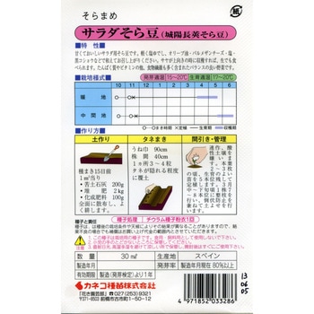 【タネ】サラダそら豆 城陽長莢 - カネコ種苗