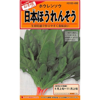 【タネ】日本ほうれんそう カネコ種苗