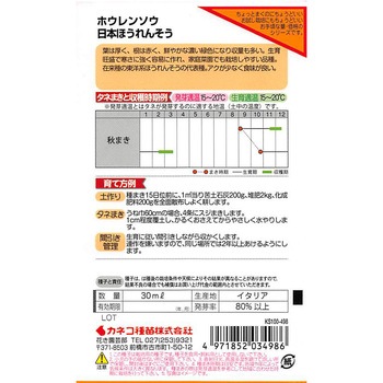 【タネ】日本ほうれんそう カネコ種苗