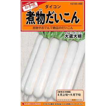 499 【タネ】煮物だいこん 大蔵大根 1セット(5袋) カネコ種苗 【通販