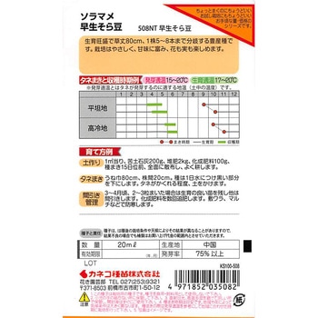 【タネ】早生そら豆 カネコ種苗