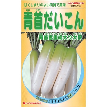 516 【タネ】青首だいこん 青首宮重大根 1セット(5袋) カネコ種苗