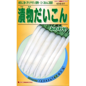 【タネ】漬物だいこん みのわせ カネコ種苗