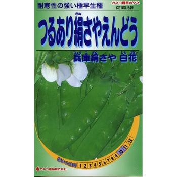 【タネ】つるあり絹さやえんどう 兵庫絹さや 白花 カネコ種苗