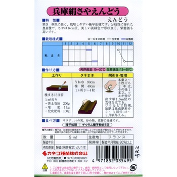【タネ】つるあり絹さやえんどう 兵庫絹さや 白花 カネコ種苗