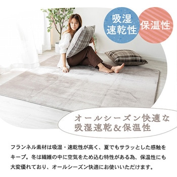 洗えるフランネルラグ 抗菌防臭・防ダニ ナイスデイ