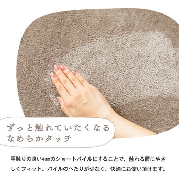 洗えるフランネルラグ(極厚) 抗菌防臭・防ダニ ナイスデイ