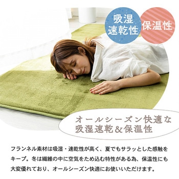 洗えるフランネルラグ(極厚) 抗菌防臭・防ダニ ナイスデイ