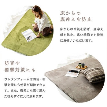 洗えるフランネルラグ(極厚) 抗菌防臭・防ダニ ナイスデイ
