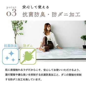 洗えるフランネルラグ(極厚) 抗菌防臭・防ダニ ナイスデイ