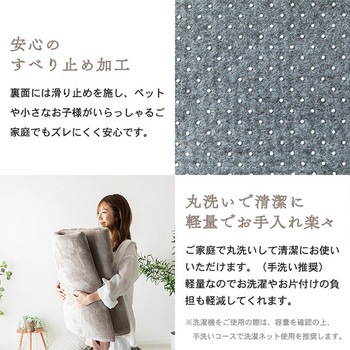 洗えるフランネルラグ(極厚) 抗菌防臭・防ダニ ナイスデイ
