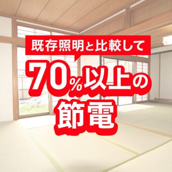 丸形LED30形/昼白色(5000K)/1350lm/Ra83 消費電力：9W グロー専用 エコリカ