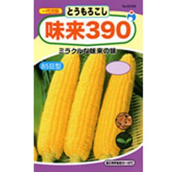 タネ】スイートコーン 味来390 ウタネ 野菜の種 春まき 【通販モノタロウ】