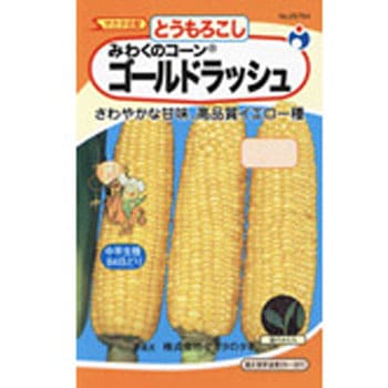 25754 【タネ】みわくのコーン ゴールドラッシュ 1袋(25mL) ウタネ 