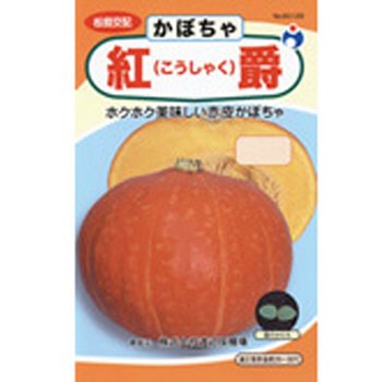 タネ 紅爵南瓜 ウタネ 野菜の種 春まき 通販モノタロウ