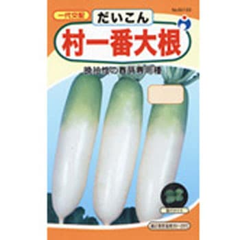 【タネ】村一番大根 ウタネ
