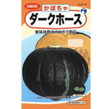 タネ】ダークホース ウタネ 野菜の種 春まき 【通販モノタロウ】