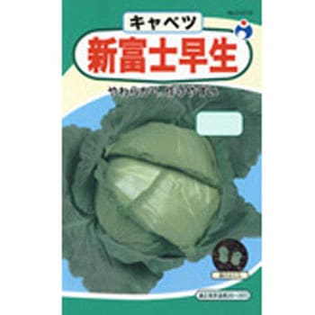【中古】 はなしのタネ タネ屋が語る野菜の健康菜時記/ツーワンライフ/松浦健一 CAT774355 【タネ】時なし キャベツ 1袋 アタリヤ農園 【通販