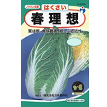 タネ 春理想白菜 ウタネ 野菜の種 春まき 通販モノタロウ