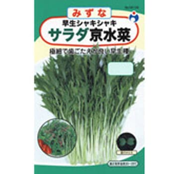 【タネ】早生シャキシャキサラダ京水菜 ウタネ
