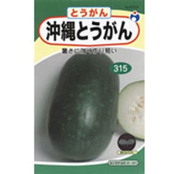 23729 【タネ】沖縄とうがん 1袋(7mL) ウタネ 【通販モノタロウ】