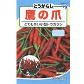 唐辛子ブーケ☆摘みたてフレッシュ☆枝付き鷹の爪☆厄払い 厄除け