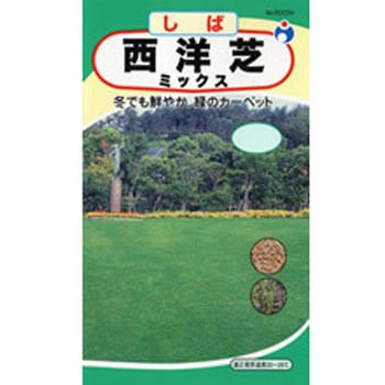 【タネ】西洋芝ミックス ウタネ