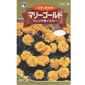 タネ マリーゴールド フレンチ系イエロー ウタネ 植物 草花の種 春まき 通販モノタロウ