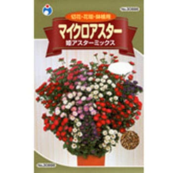 タネ マイクロアスター 姫アスターミックス ウタネ 植物 草花の種 通年 通販モノタロウ 308