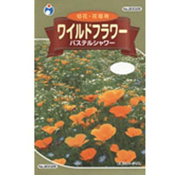 タネ ワイルドフラワー パステルシャワー 1袋 5ml ウタネ 通販モノタロウ