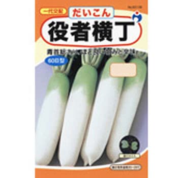 60136 【タネ】役者横丁大根 1袋(5mL) ウタネ 【通販モノタロウ】