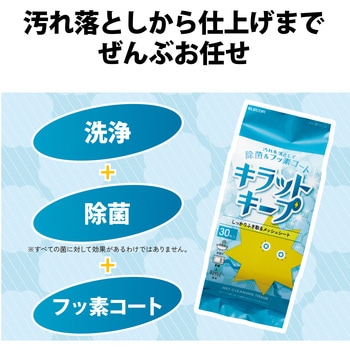 ウェットティッシュ フッ素入り 除菌 アルコール メッシュ 水回り キッチン 洗面台 浴室 テーブル クリーナー エレコム