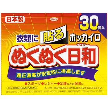 ホッカイロ ぬくぬく日和 貼る 興和新薬ヘルスケア