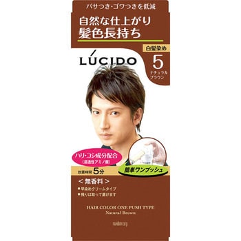 ルシード マート ワンプッシュケアカラー 男性用 白髪染め ナチュラルブラウン 1個